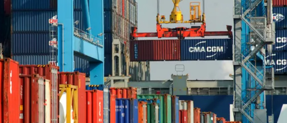 Cualquiera puede exportar hay que saber cómo hacerlo